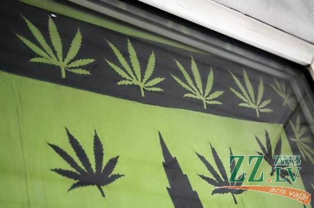 Autors: Agris Samcovs