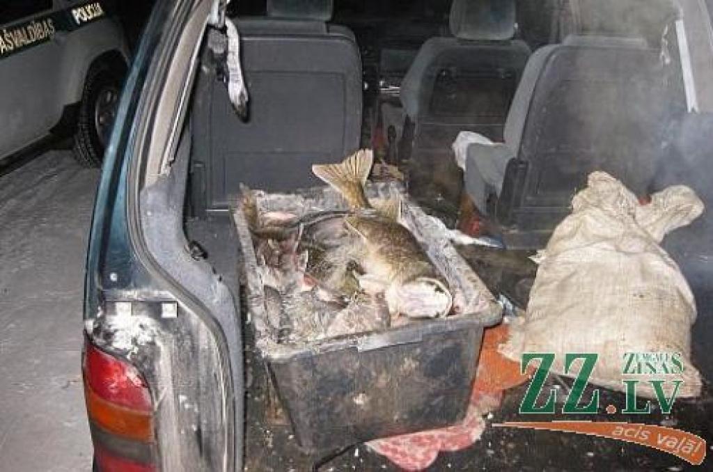 Autors: no Jelgavas novada pašvaldības policijas albuma