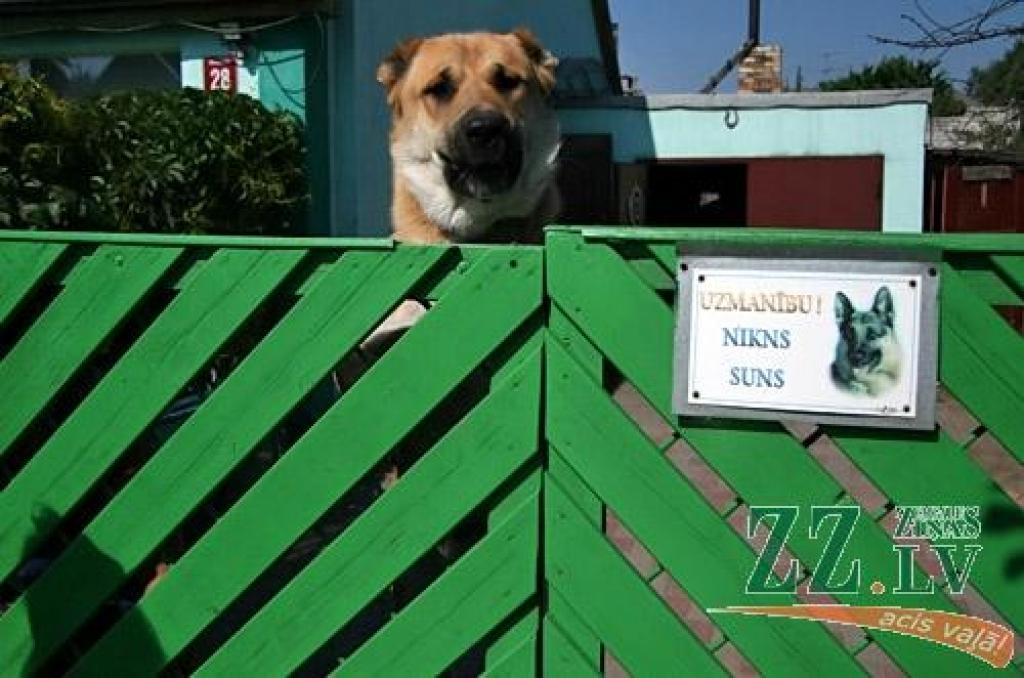 Autors: Agris Samcovs