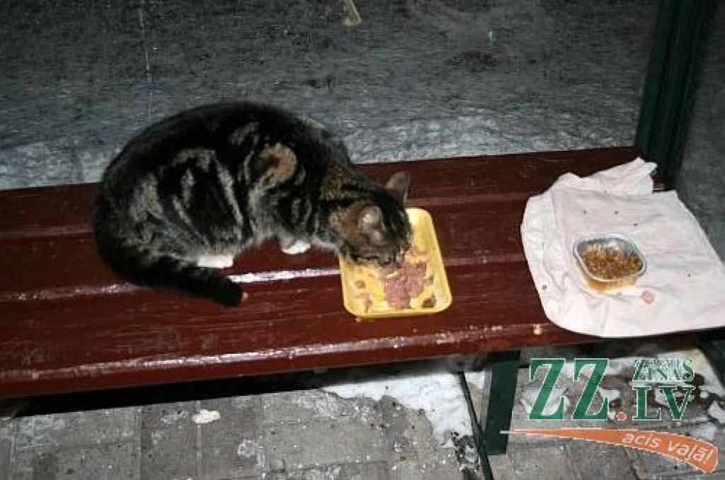 Autors: Gaļina Kudrjavceva