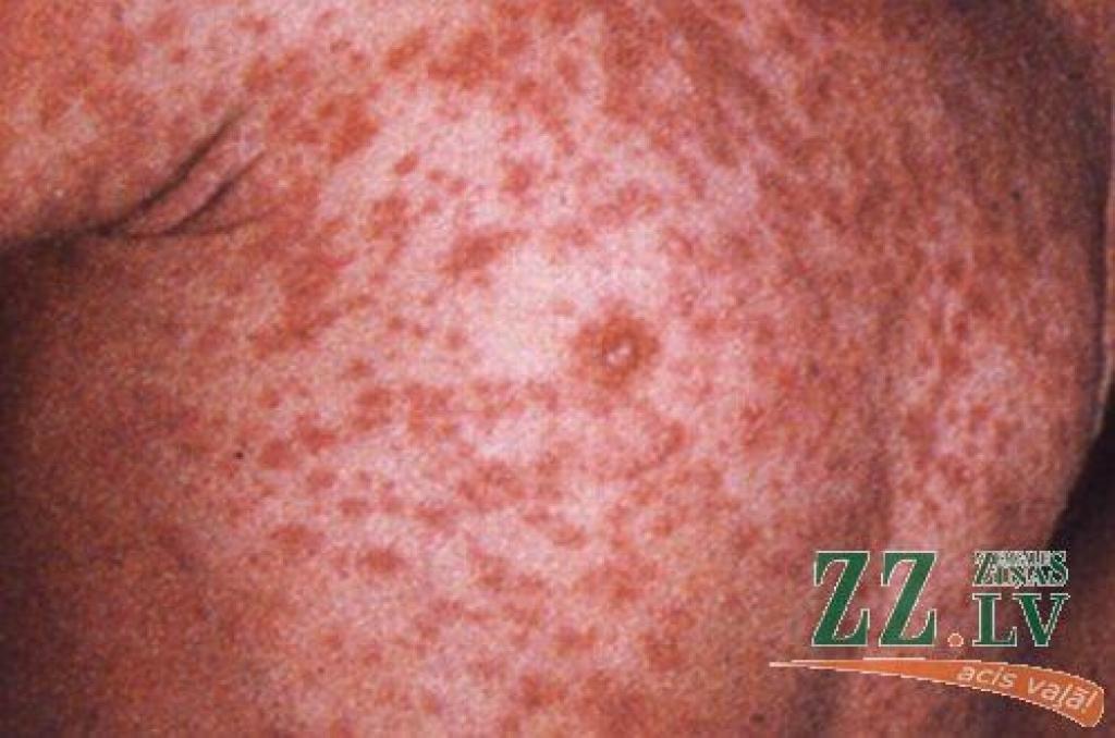 Autors: no http://sempremulhersempre.blogspot.com