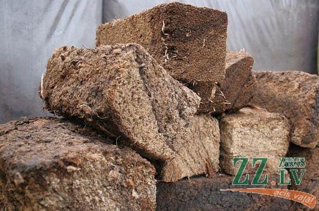 Autors: Agris Samcovs