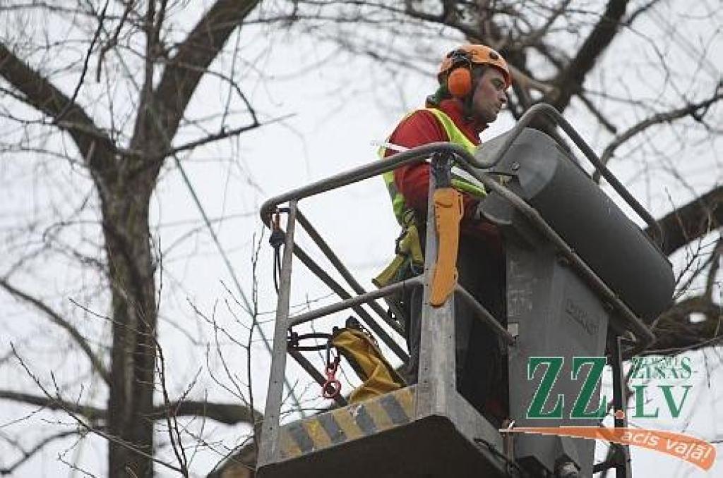 Autors: Armands Lazdiņš