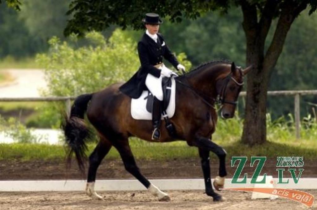 Autors: Publicitātes foto