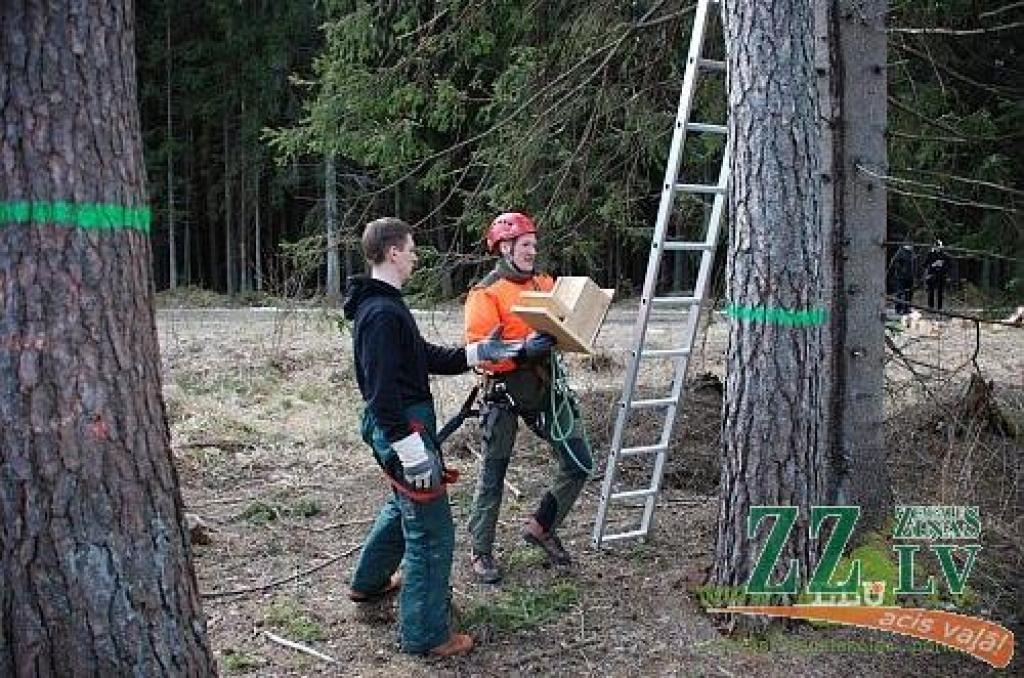 Autors: Aigars Ieviņš, LLU