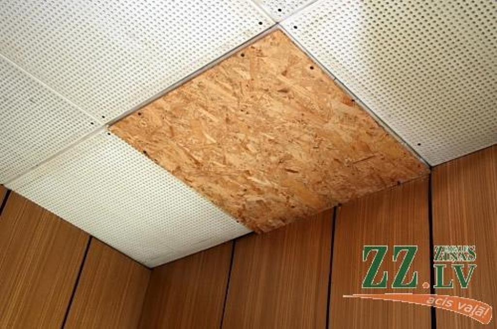 Autors: Agris Samcovs