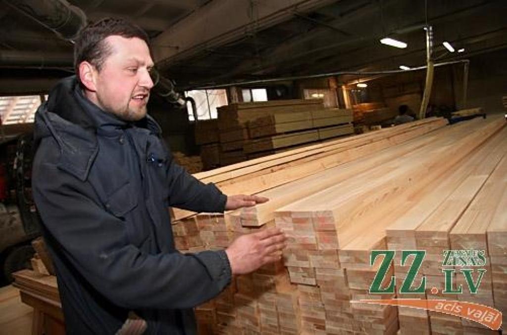  Platonē visvairāk darba vietu dod kokapstrāde, kaut lielu mežu tuvumā nav. No pusotra līdz diviem miljoniem latu pērn audzis apgrozījums Platones pagasta uzņēmumos «Balt Energo Wood» un «LDM koks», kuriem ir viena mājvieta agrākajā konservu cehā un kur strādā septiņdesmit darbinieku.
Autors: Agris Samcovs