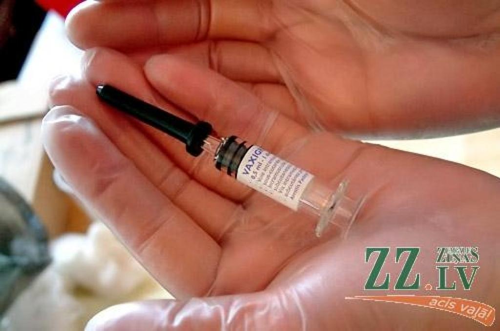 Autors: Agris Samcovs
