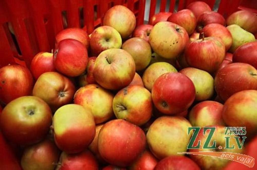 Autors: Agris Samcovs