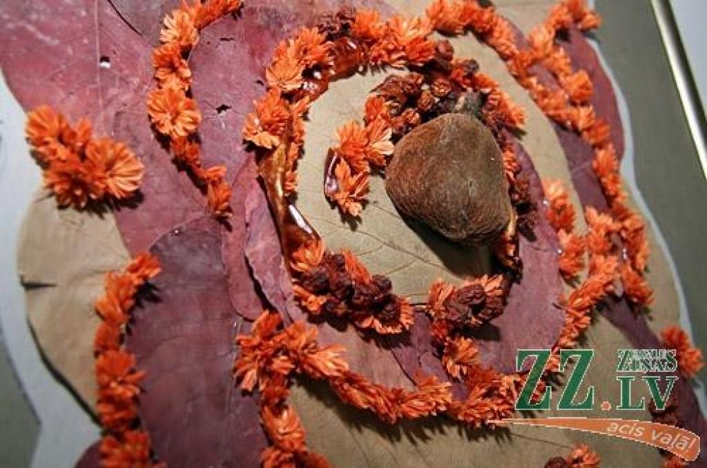 No 5. līdz 29.aprīlim Jelgavas un arī Ādolfa Alunāna memoriālajā muzejā bez maksas apskatāma izstāde, kurā savu veikumu demonstrē Latvijas – Lietuvas pārrobežu sadarbības programmas projekta dalībnieki – Zemgales un Šauļu reģiona lauku...