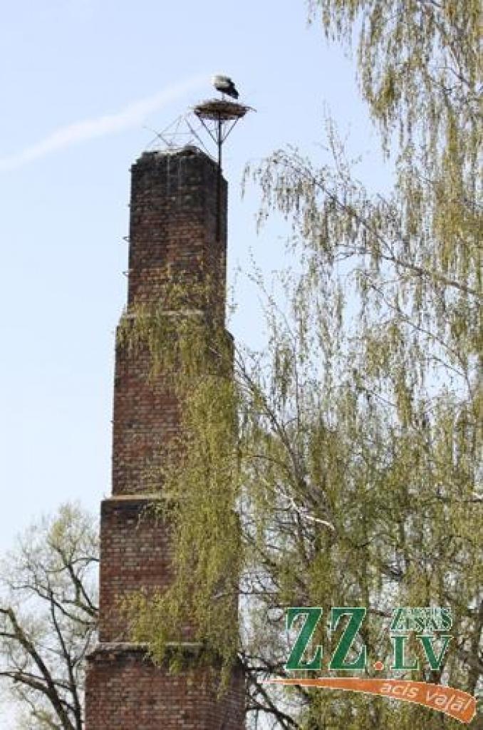 Autors: Armands Lazdiņš