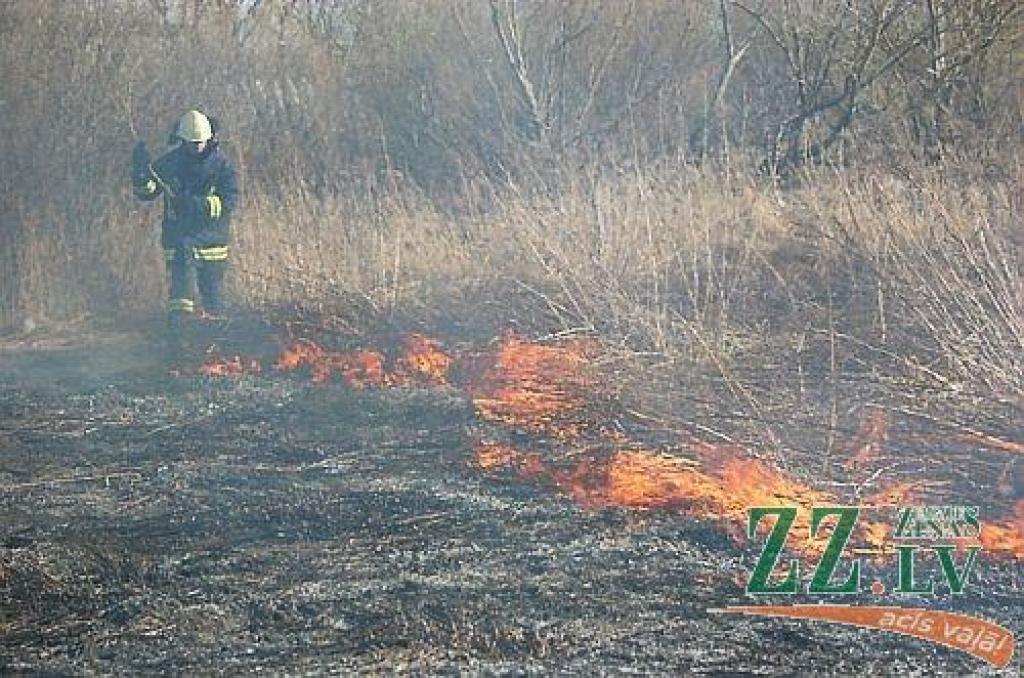 Autors: Agris Samcovs