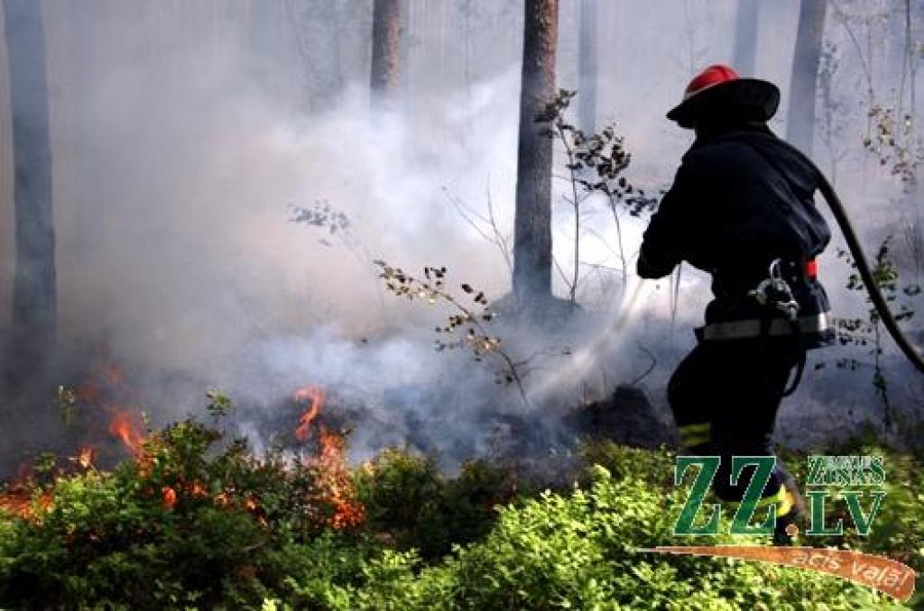 Autors: Agris Samcovs