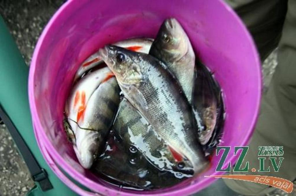 Autors: Agris Samcovs