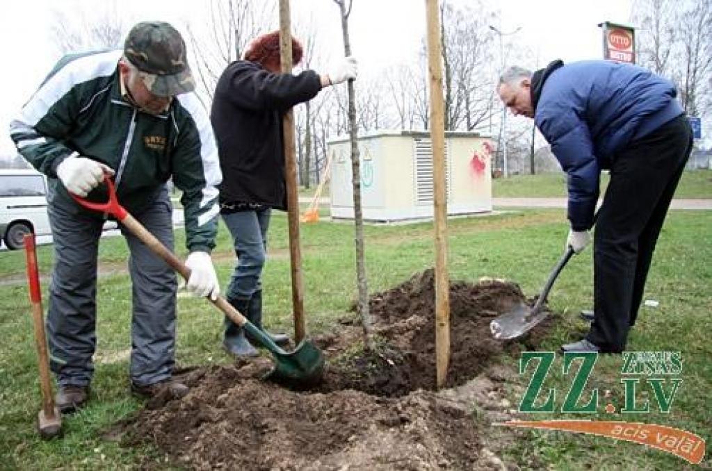 Autors: Agris Samcovs