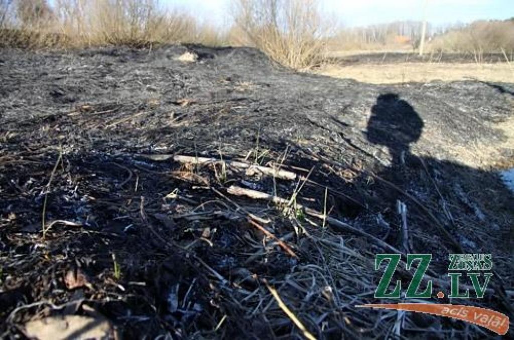 Autors: Agris Samcovs