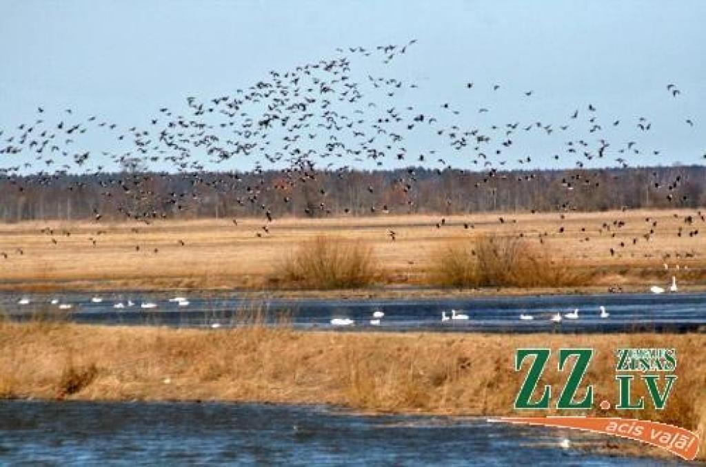 Autors: Agris Samcovs