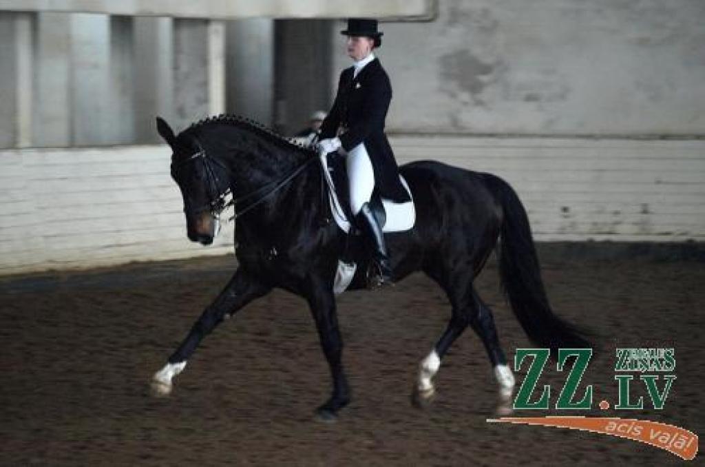 Autors: Agris Samcovs