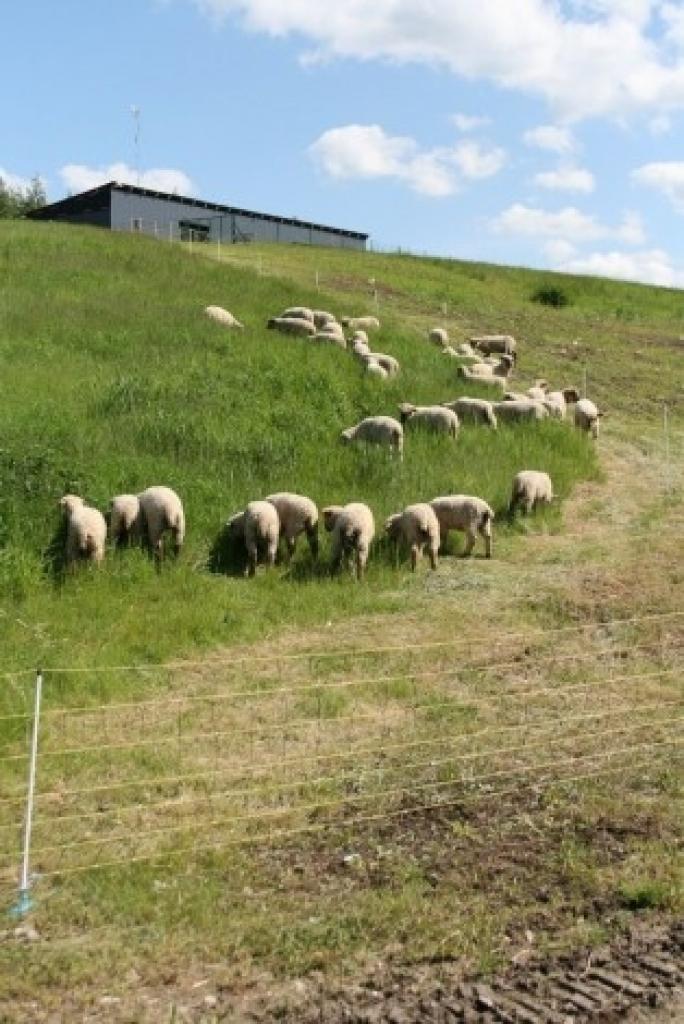 Autors: Publicitātes foto