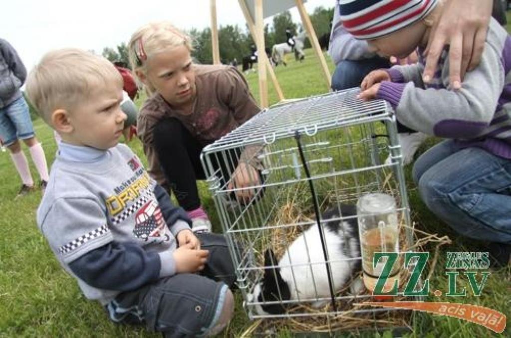 Autors: Armands Lazdiņš