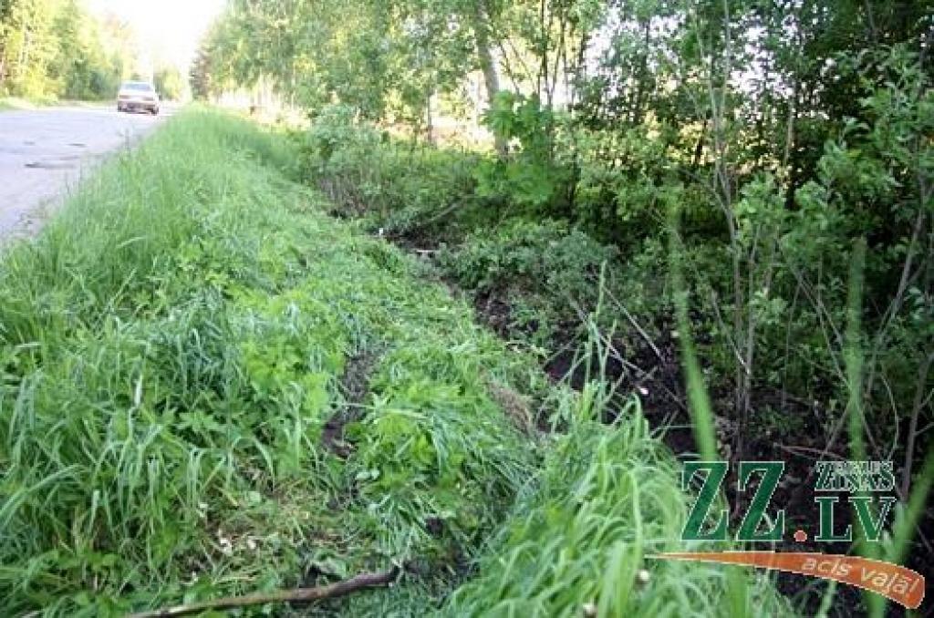 Autors: Agris Samcovs