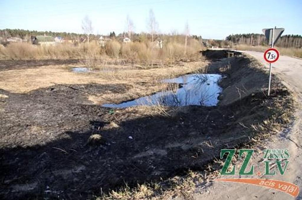 Autors: no ZZ arhīva