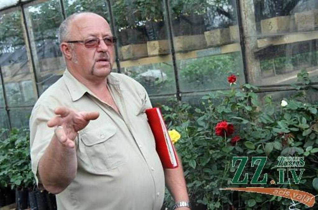 Ir lietas, ko novērtējam jebkādās grūtībās un laikos. Un viena no tām – mīlestība pret ziediem, saka ilggadējais rožu audzētājs Verners Maido. Ne viņam, ne sievai Lijai dārzkopja diploma, ar ko padižoties, nav, bet ilgo gadu pieredze un uzkrātās zināšanas ir kas  vairāk par dokumentu. 
Autors: Armands Lazdiņš