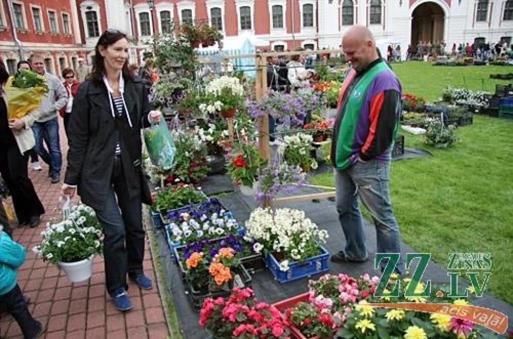 Autors: Agris Samcovs