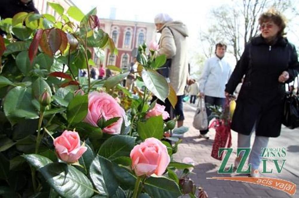 Autors: Agris Samcovs