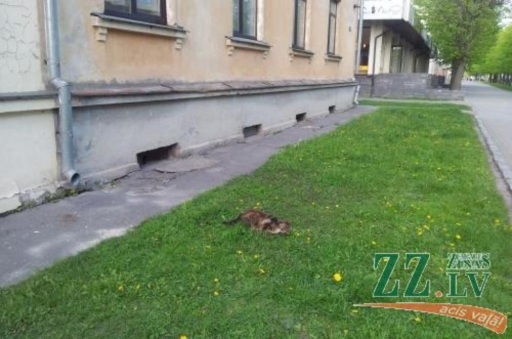 Autors: Gaļina Kudrjavceva