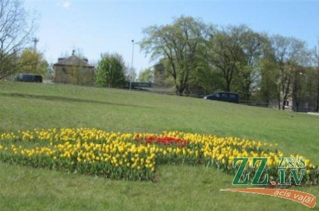 Autors: «Pilsētsaimniecība»