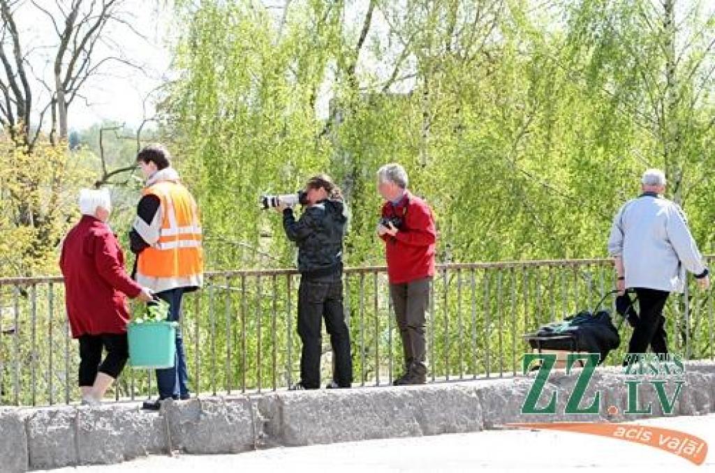 Autors: Agris Samcovs