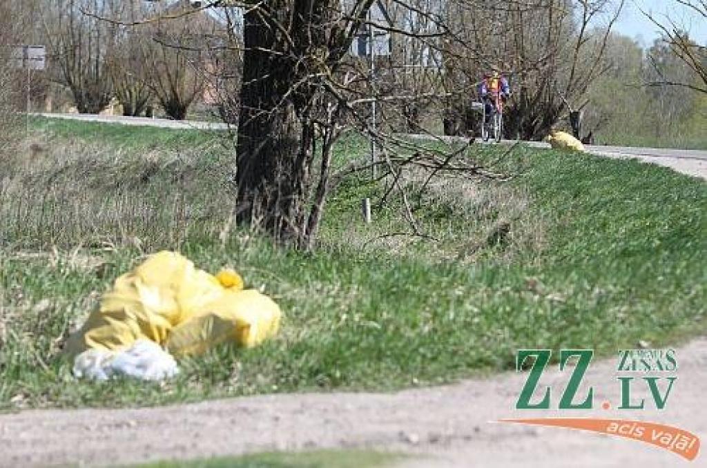 Autors: Armands Lazdiņš