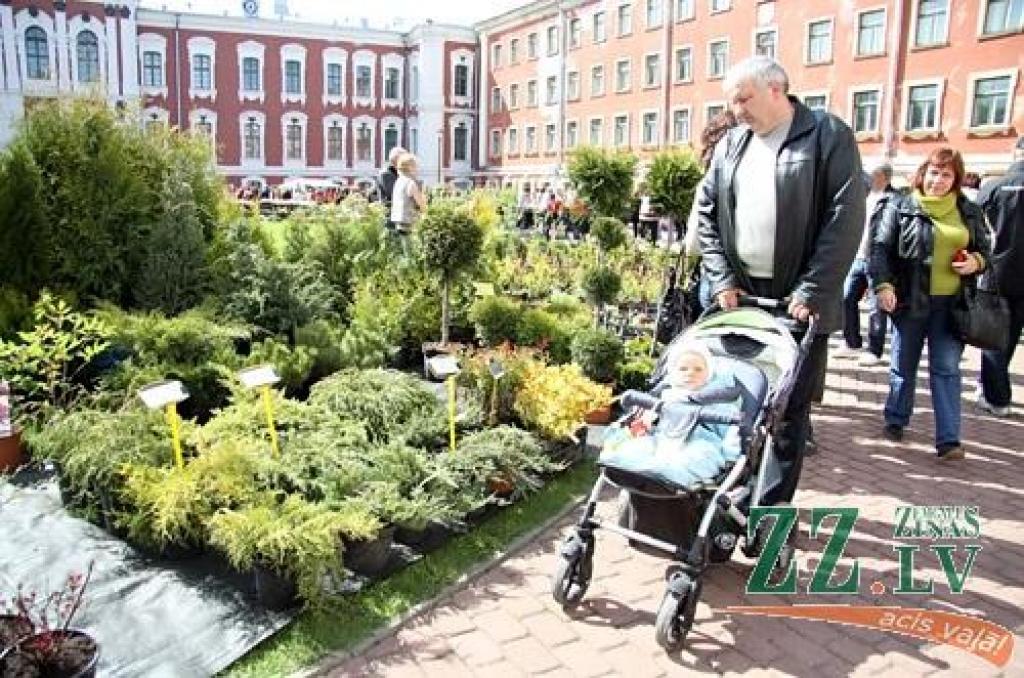 Autors: Agris Samcovs