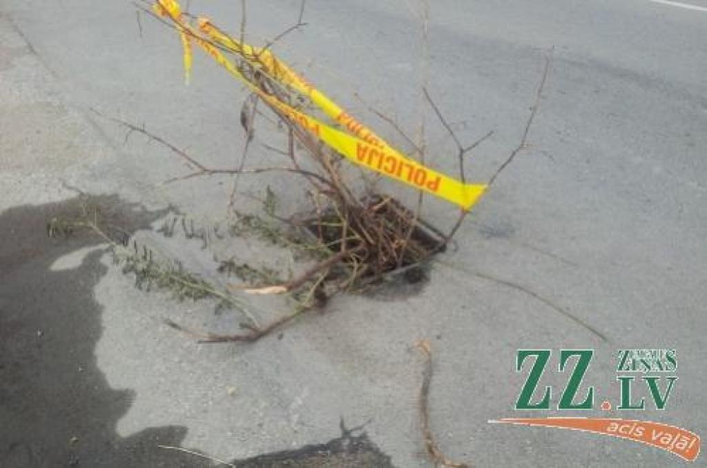 Autors: Gaļina Kudrjavceva