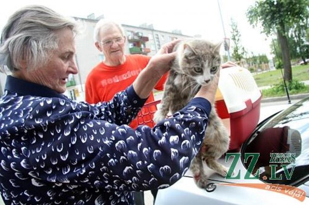 Autors: Agris Samcovs