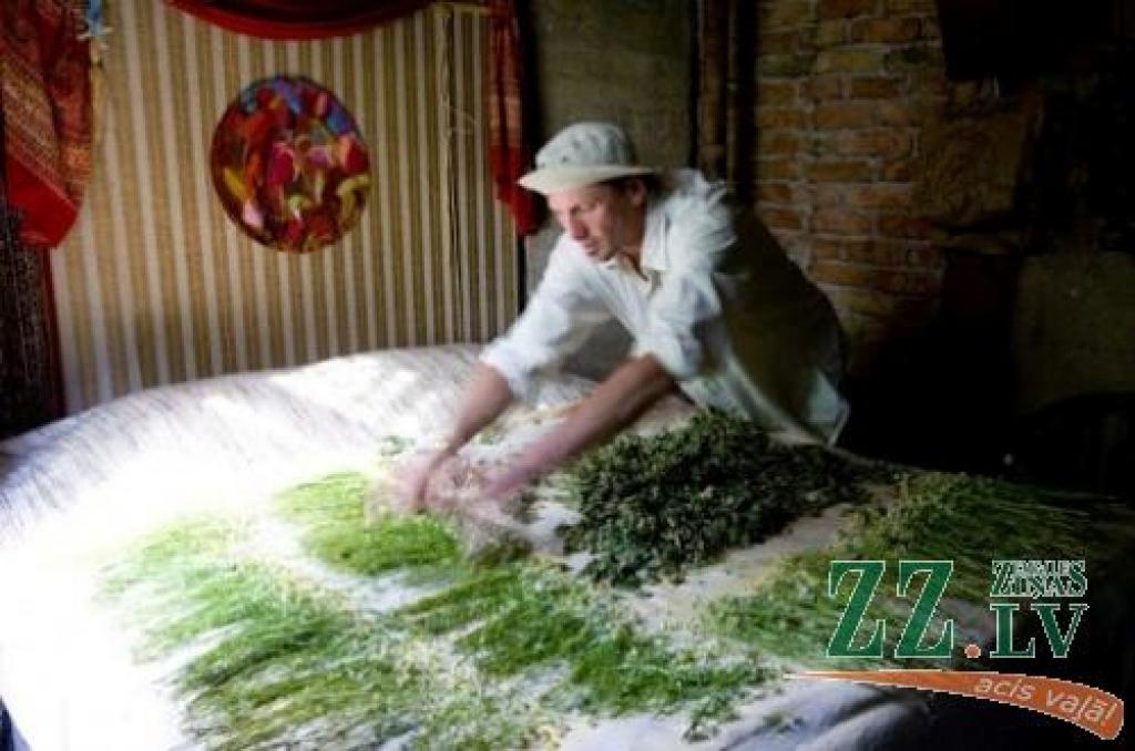 Autors: no «Dimzēnu» arhīva