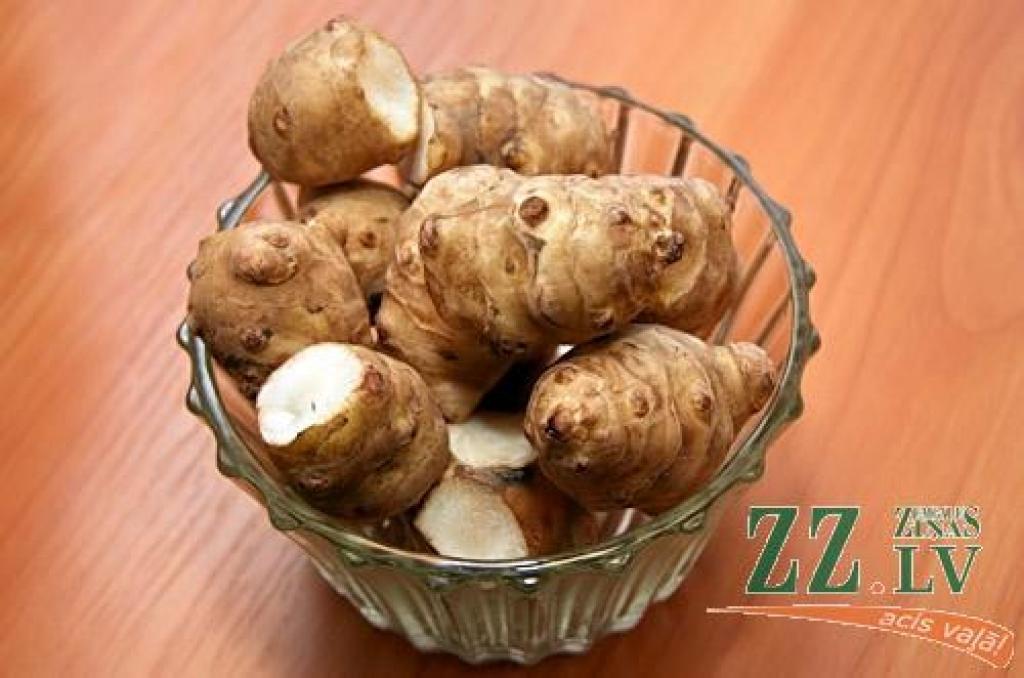 Autors: no ZZ arhīva