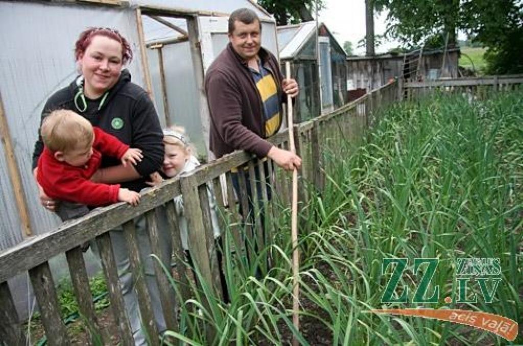 Sākoties ekonomiskajai lejupslīdei, Evija Baltiņa atstāja labi iesāktu karjeru lielveikalā Īrijā. Atgriezusies dzimtas mājās Salgales pagasta Stienberģos, viņa kopā ar vīru Haraldu sāka kāpostu skābēšanas, dārzeņu audzēšanas un konservēšanas rūpalu. Ģimene plāno izvērst garšaugu audzēšanu zem plēvēm. Pamazām jau no bērnības darbos iesaistās arī dēls Henrijs un meita Adriāna.
Autors: Agris Samcovs