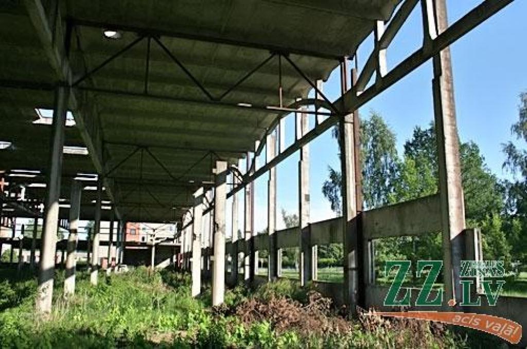 Autors: no ZZ arhīva
