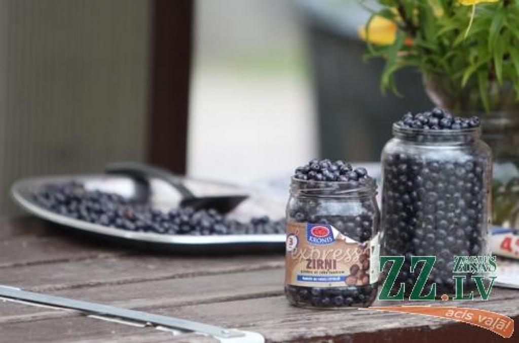 Autors: Armands Lazdiņš