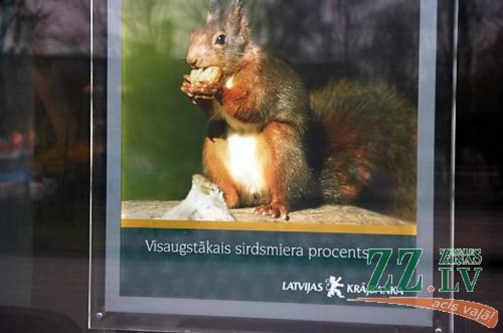 Autors: no ZZ arhīva