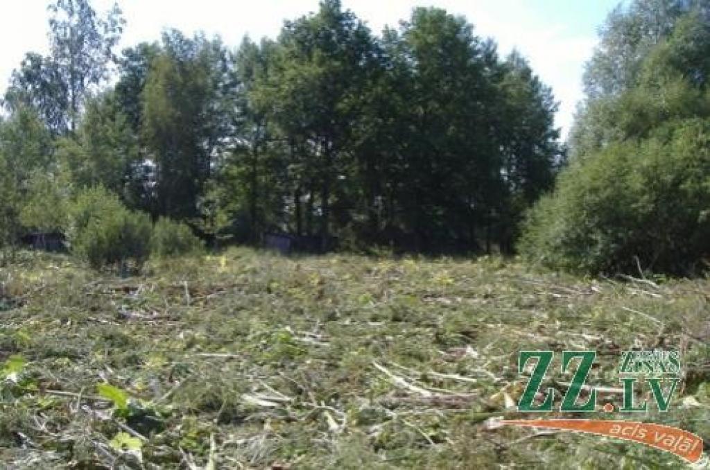 Autors: Ozolnieku novada pašvaldība