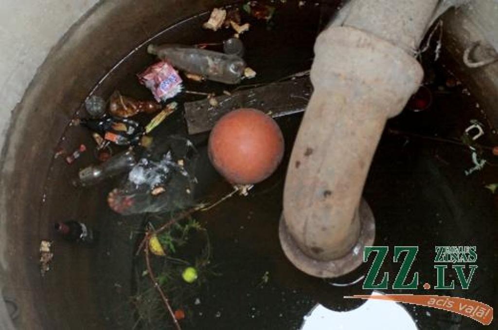 Autors: Armands Lazdiņš