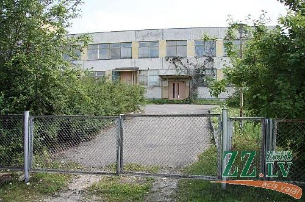 Autors: no ZZ arhīva