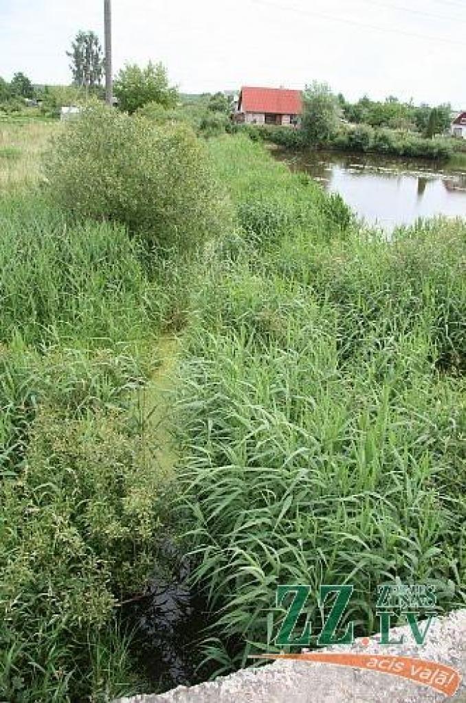 «Pērn mums bija plūdi septiņas reizes, augļu koki iznīkst, vairāki dārzi ir pamesti,» sūdzas Glūdas pagasta dārzkopības sabiedrības «Straume G» iemītnieki. Jau vairāk nekā gadu tās priekšsēdētājs Paulis Butāns daudzkārt vērsis Zemkopības ministrijas un Jelgavas novada pašvaldības uzmanību, bet speciālisti iesaka zemju īpašniekiem pašiem vienoties, lai problēmu atrisinātu, jo normatīvi liedz ar savu atbalstu iesaistīties valstij vai pašvaldībai. 
Autors: Agris Samcovs