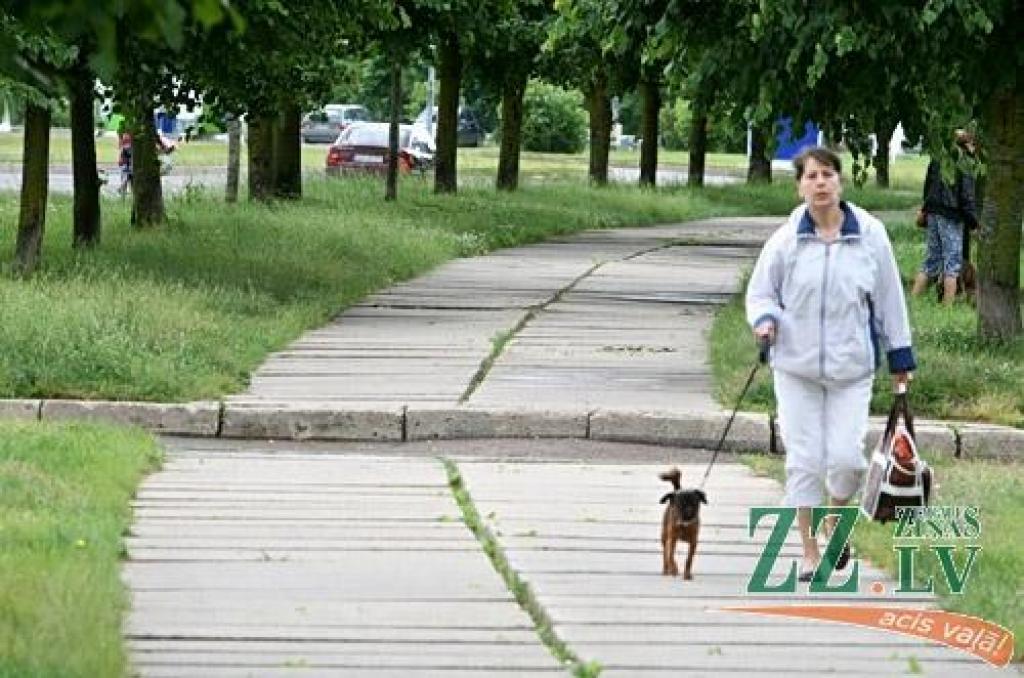 Autors: Agris Samcovs