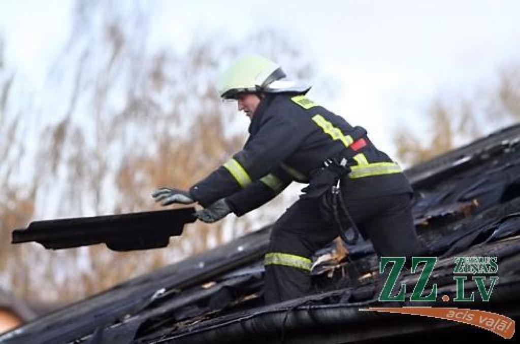 Autors: no ZZ arhīva