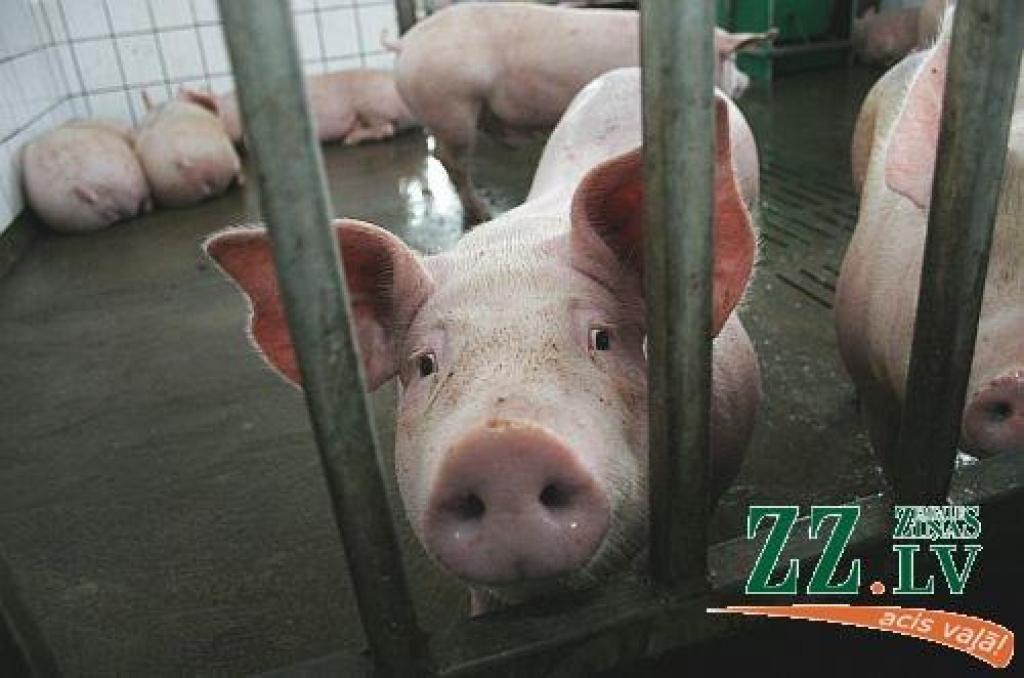 Autors: Agris Samcovs