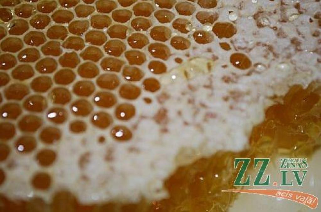 Autors: Publicitātes foto